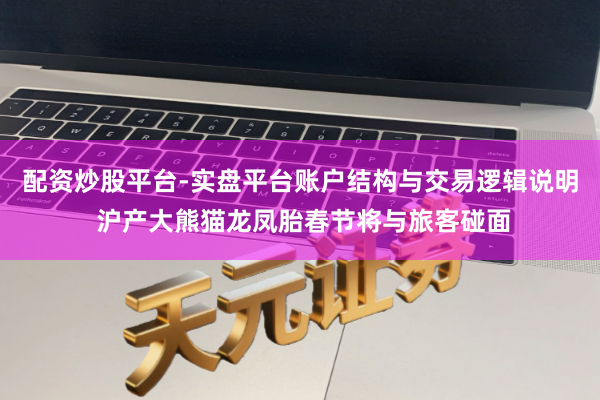 配资炒股平台-实盘平台账户结构与交易逻辑说明 沪产大熊猫龙凤胎春节将与旅客碰面